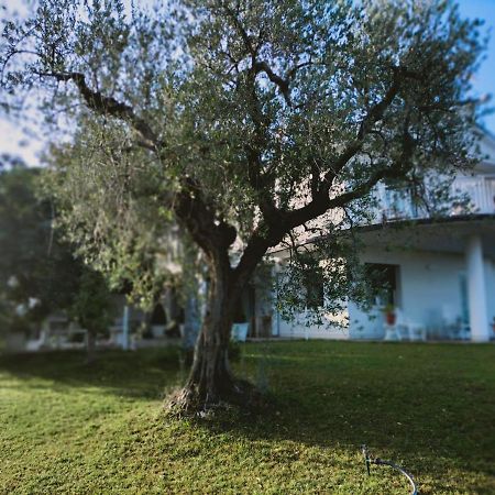 سان جيوفانّي تْيَتينو Villa Margherita المظهر الخارجي الصورة