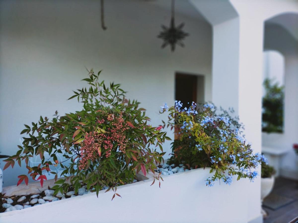 سان جيوفانّي تْيَتينو Villa Margherita المظهر الخارجي الصورة