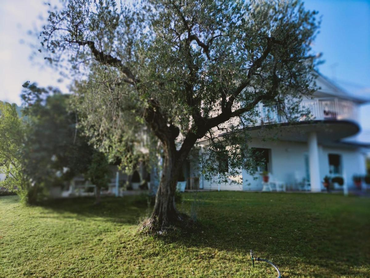 سان جيوفانّي تْيَتينو Villa Margherita المظهر الخارجي الصورة
